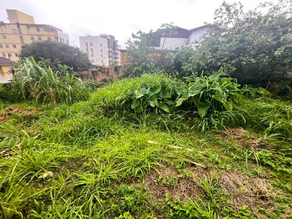 Terreno, 471 m² - Foto 7