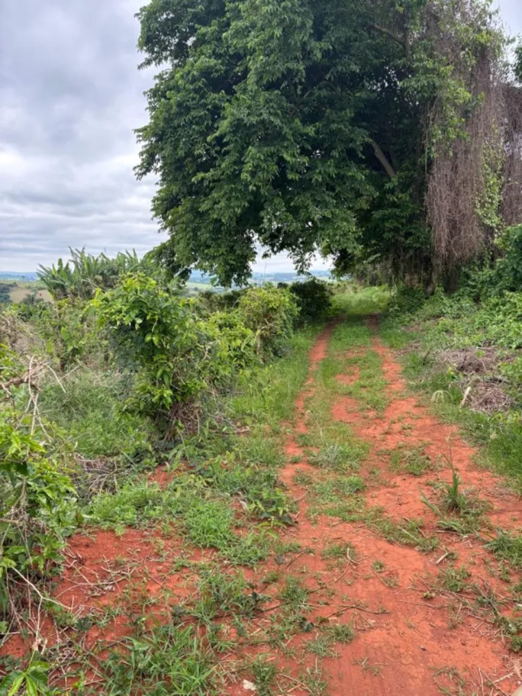 Chácara, 1 quarto, 12 hectares - Foto 8