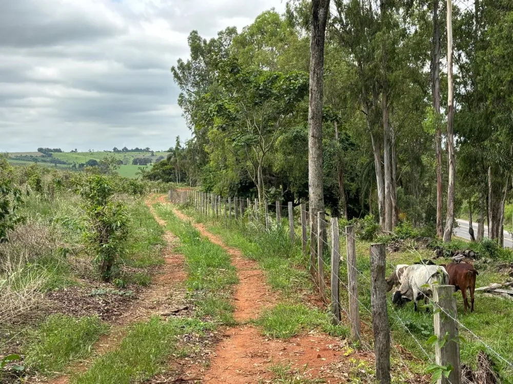 Chácara, 1 quarto, 12 hectares - Foto 6