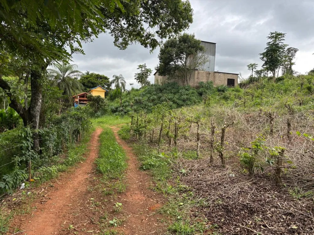 Chácara, 1 quarto, 12 hectares - Foto 7