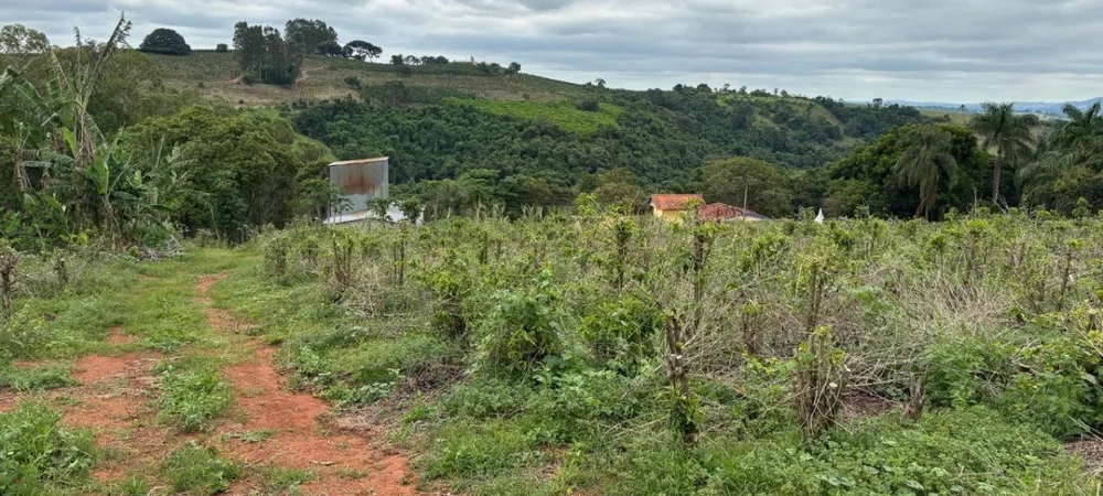 Chácara, 1 quarto, 12 hectares - Foto 4