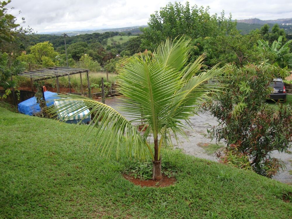 Casa de Condomínio à venda com 4 quartos, 6000m² - Foto 7