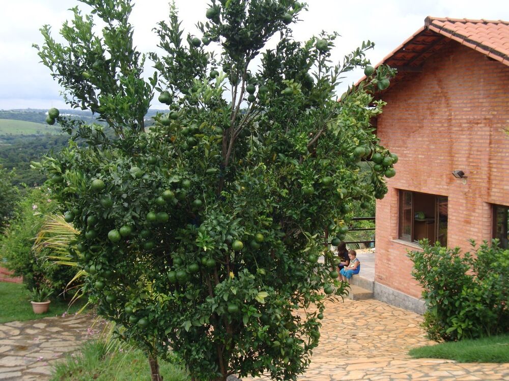 Casa de Condomínio à venda com 4 quartos, 6000m² - Foto 9
