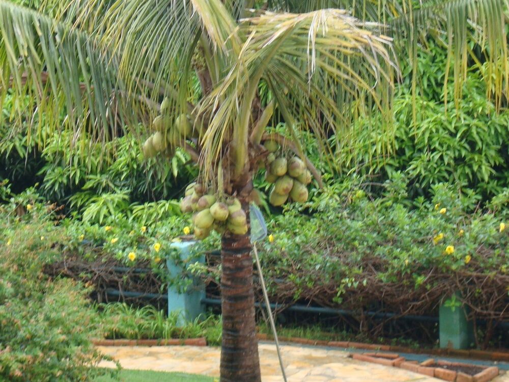 Casa de Condomínio à venda com 4 quartos, 6000m² - Foto 21