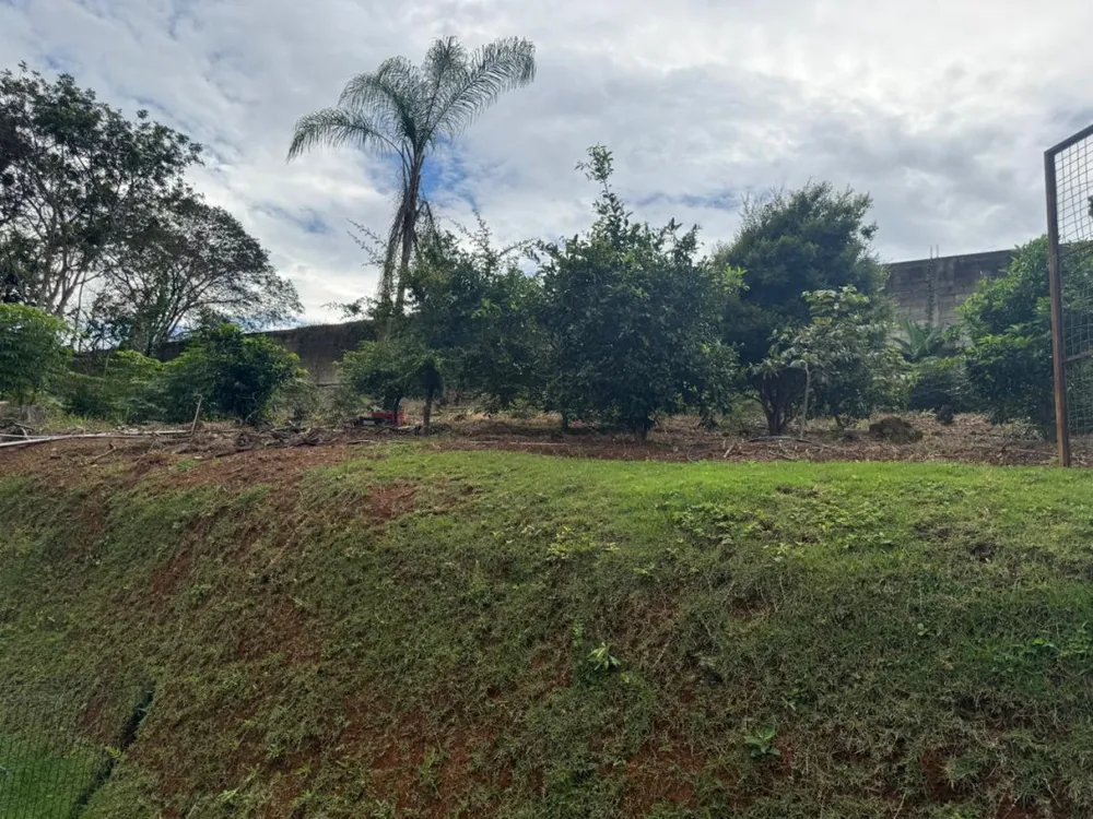 Casa, 3 quartos, 300 m² - Foto 9