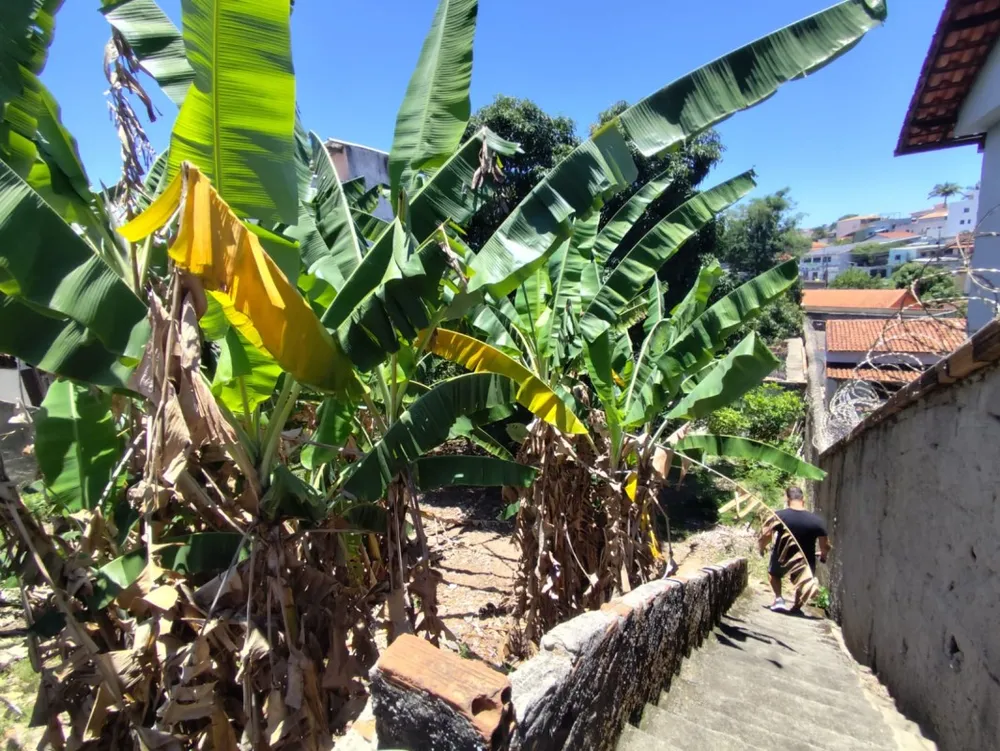 Terreno, 457 m² - Foto 15