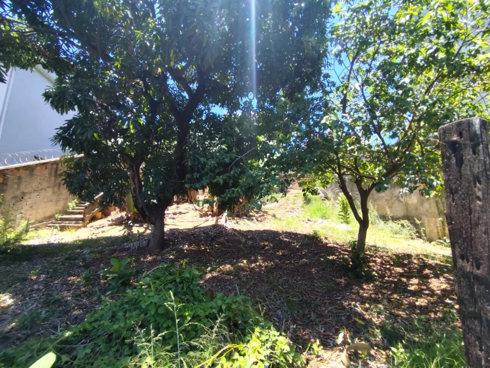 Terreno, 457 m² - Foto 7