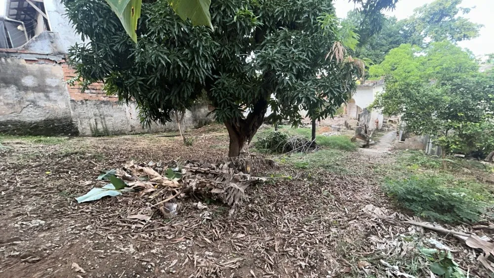 Terreno, 457 m² - Foto 4