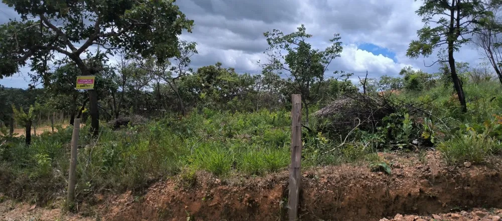 Terreno, 1000 m² - Foto 4