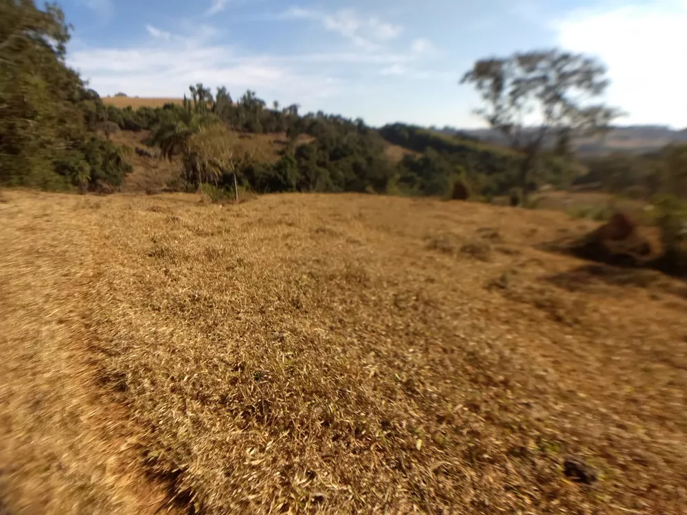 Chácara à venda com 3 quartos, 210000m² - Foto 2