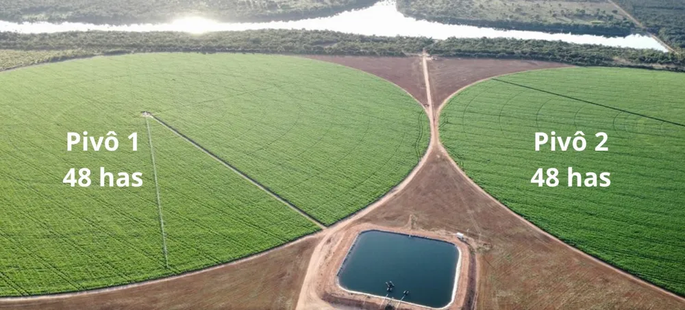 Fazenda, 957 hectares - Foto 2