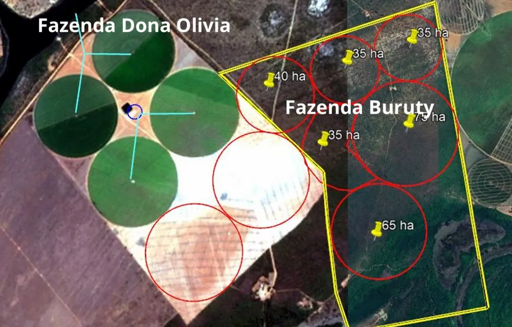 Fazenda, 957 hectares - Foto 8