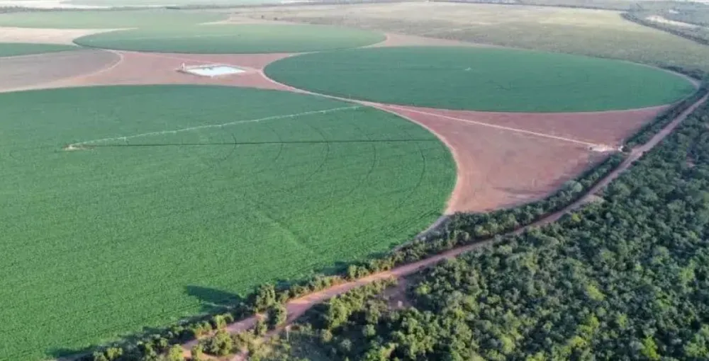 Fazenda, 957 hectares - Foto 1