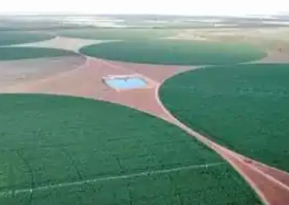 Fazenda, 957 hectares - Foto 3