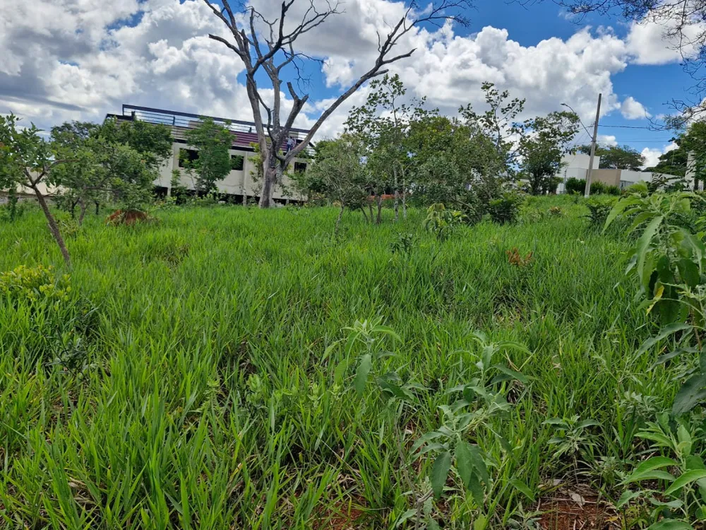 Terreno, 1022 m² - Foto 2