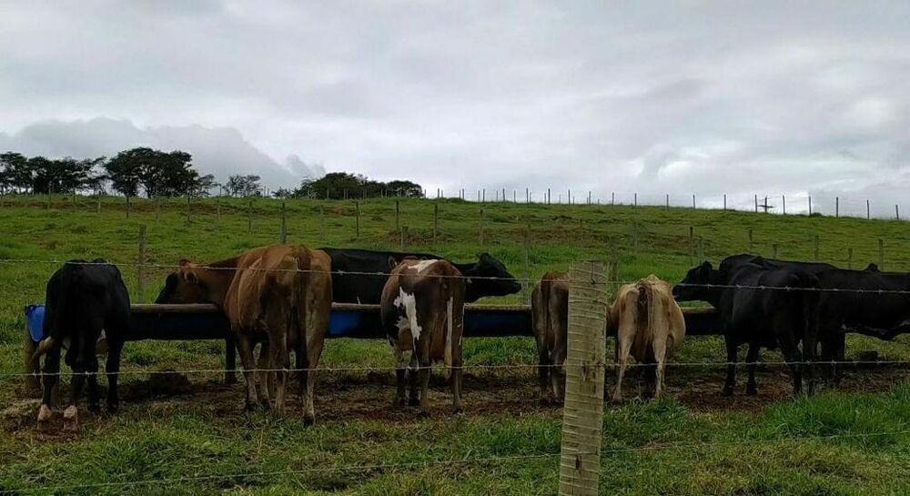 Fazenda à venda com 8 quartos, 11520m² - Foto 4