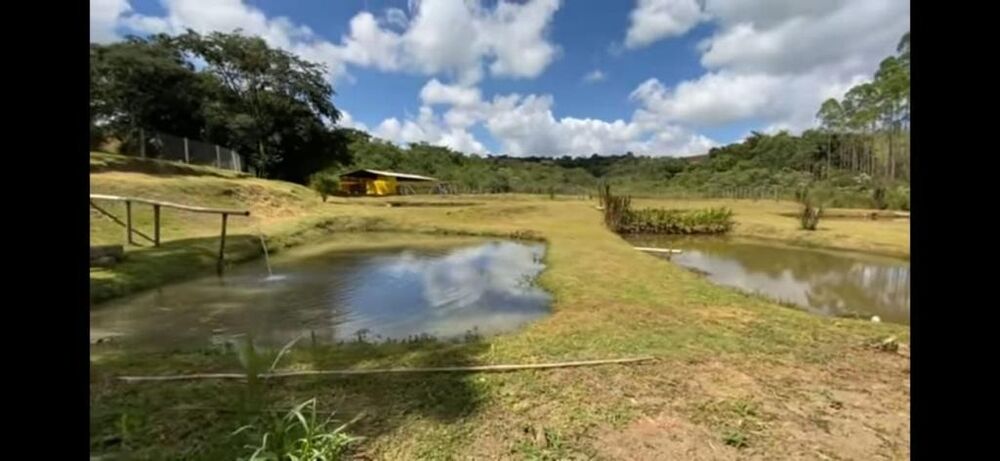 Fazenda à venda com 8 quartos, 11520m² - Foto 6