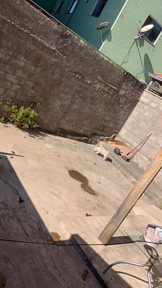 Prédio Inteiro à venda com 8 quartos, 150m² - Foto 16