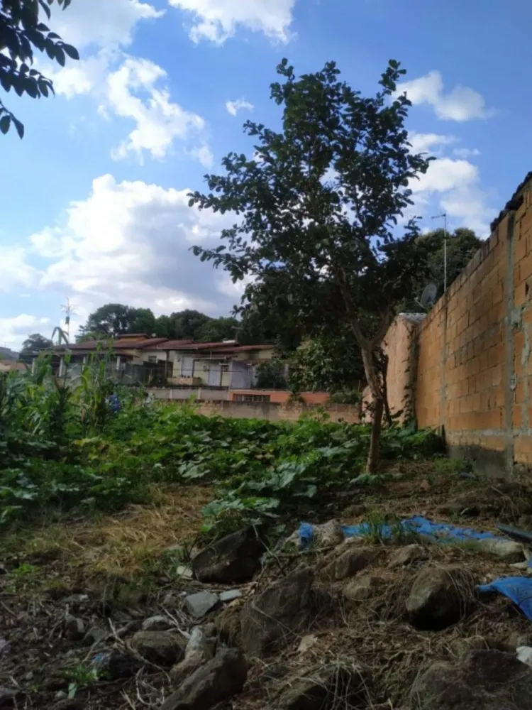 Chácara, 1 quarto, 1700 m² - Foto 2