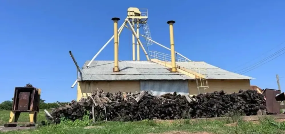 Fazenda, 277 hectares - Foto 8