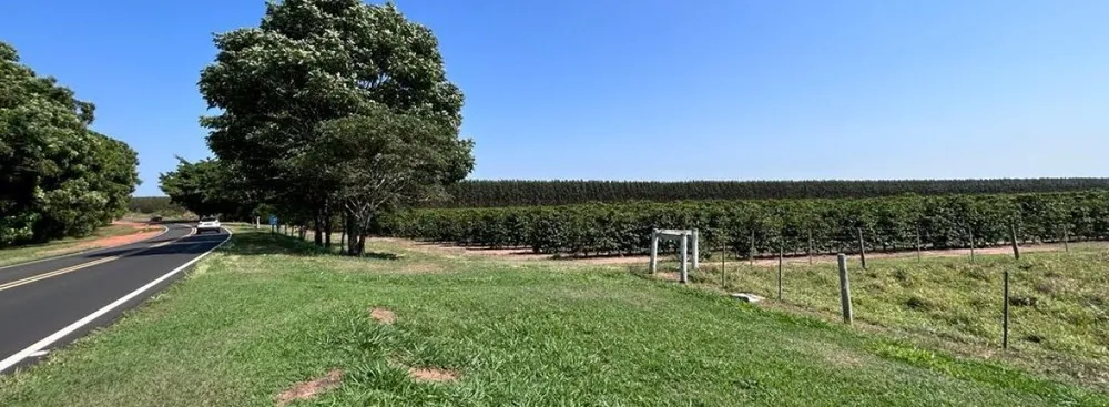 Fazenda, 277 hectares - Foto 1