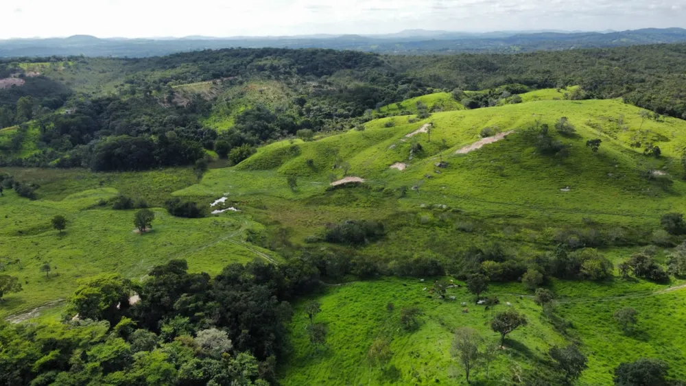 Fazenda, 1020 m² - Foto 10