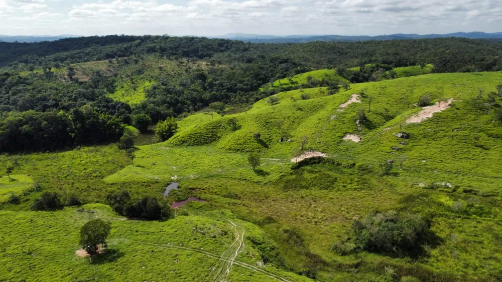 Fazenda, 1020 m² - Foto 6