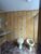 Sala-Conjunto, 304 m² - Foto 11