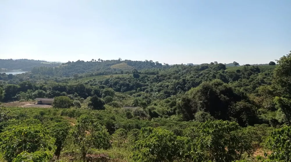 Chácara à venda com 1 quarto, 55000m² - Foto 4