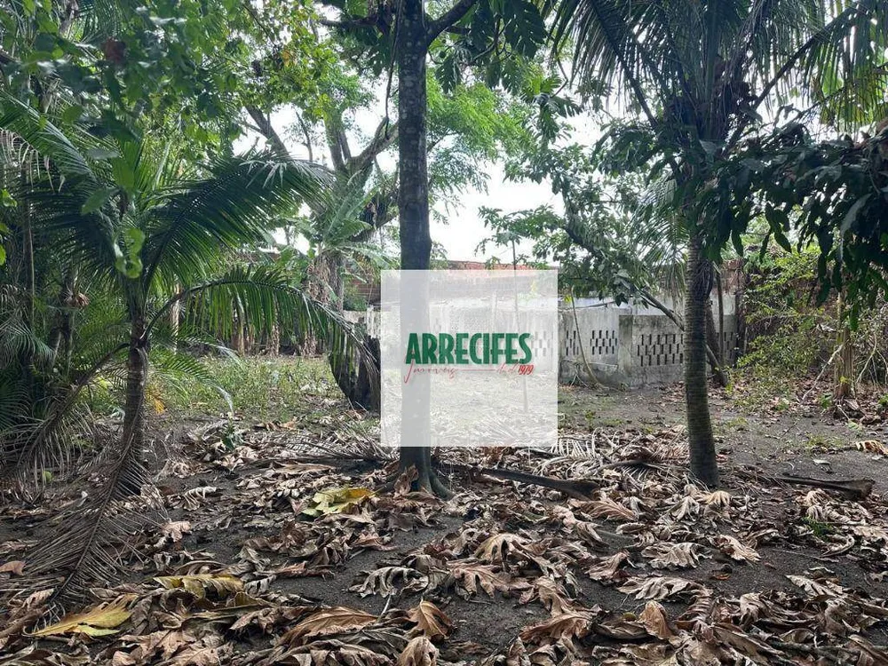 Chácara, 4 quartos - Foto 11