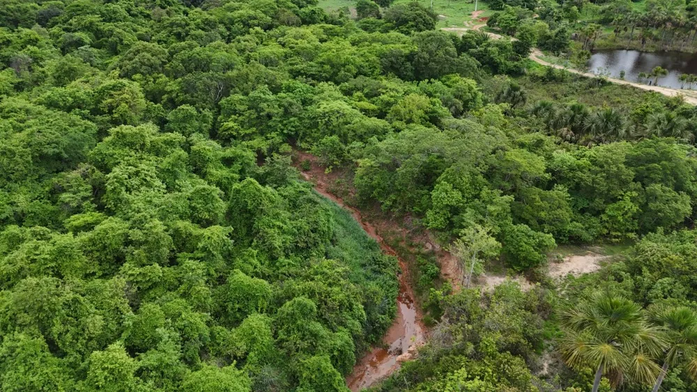 Fazenda, 4100 hectares - Foto 11