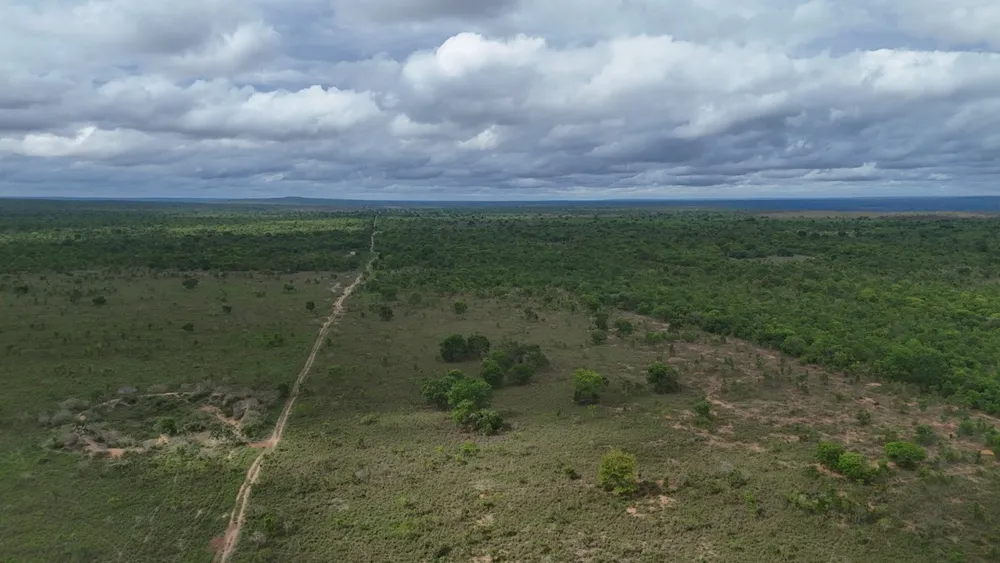Fazenda, 4100 hectares - Foto 3