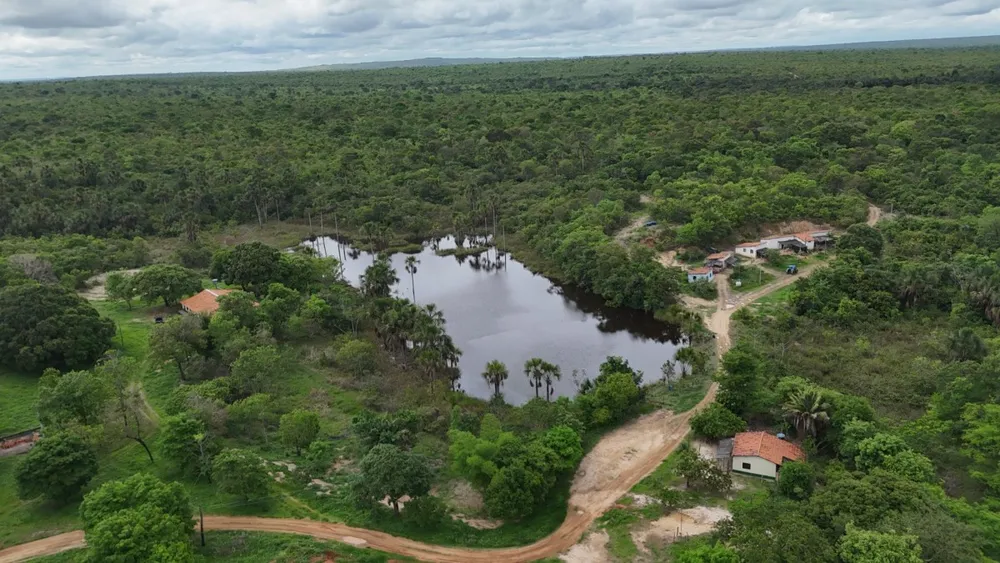 Fazenda, 4100 hectares - Foto 6
