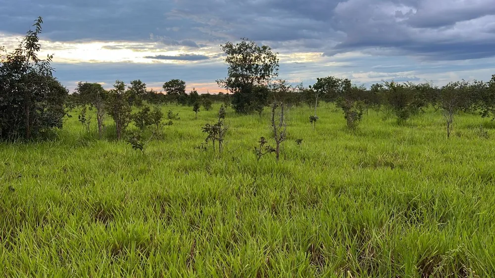 Fazenda, 4100 hectares - Foto 7