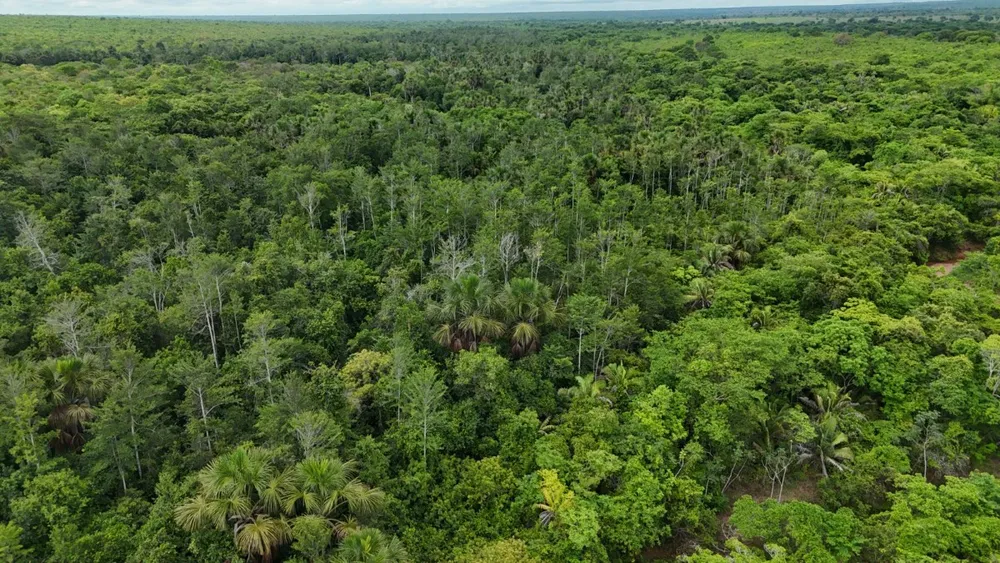 Fazenda, 4100 hectares - Foto 10