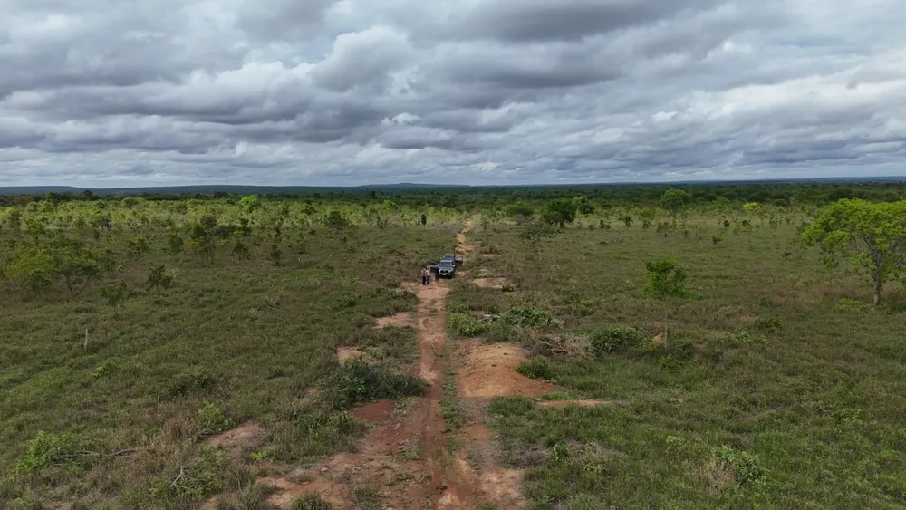 Fazenda, 4100 hectares - Foto 2