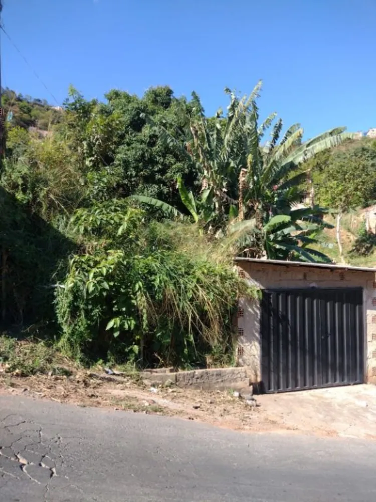 Casa, 1 quarto, 300 m² - Foto 4