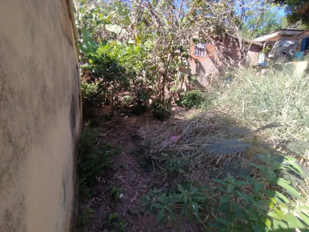 Casa, 1 quarto, 300 m² - Foto 4
