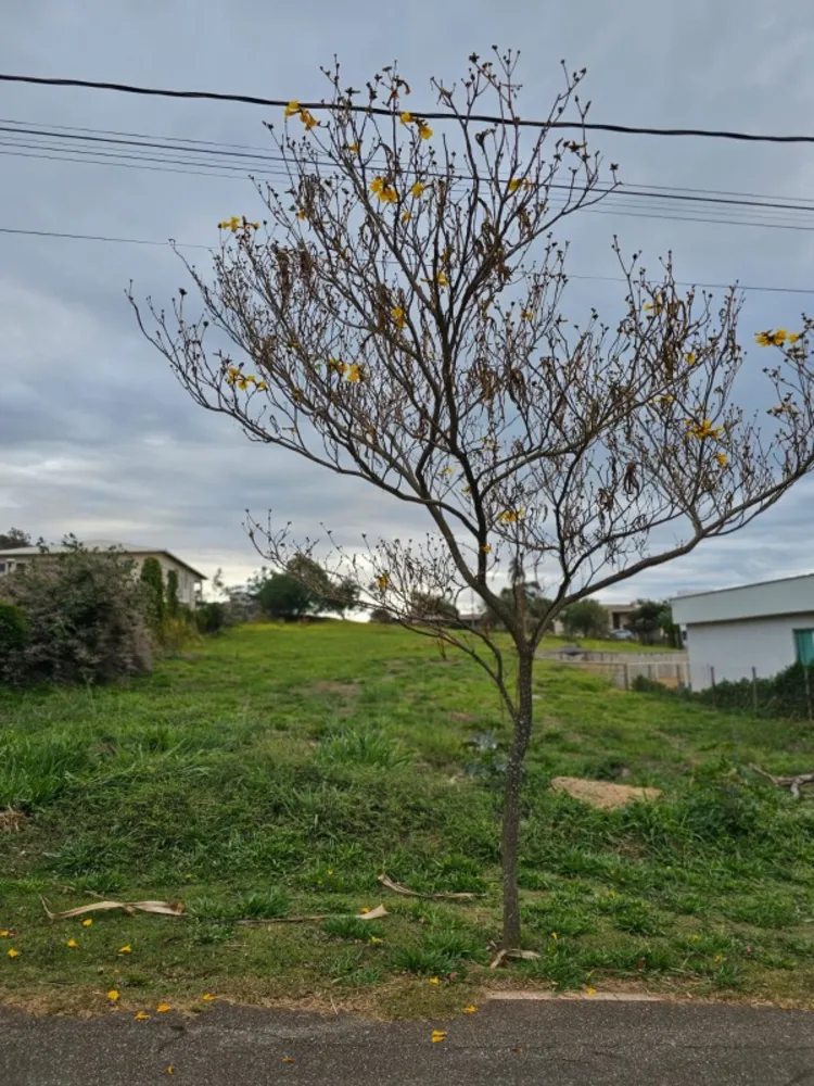 Terreno, 1000 m² - Foto 3