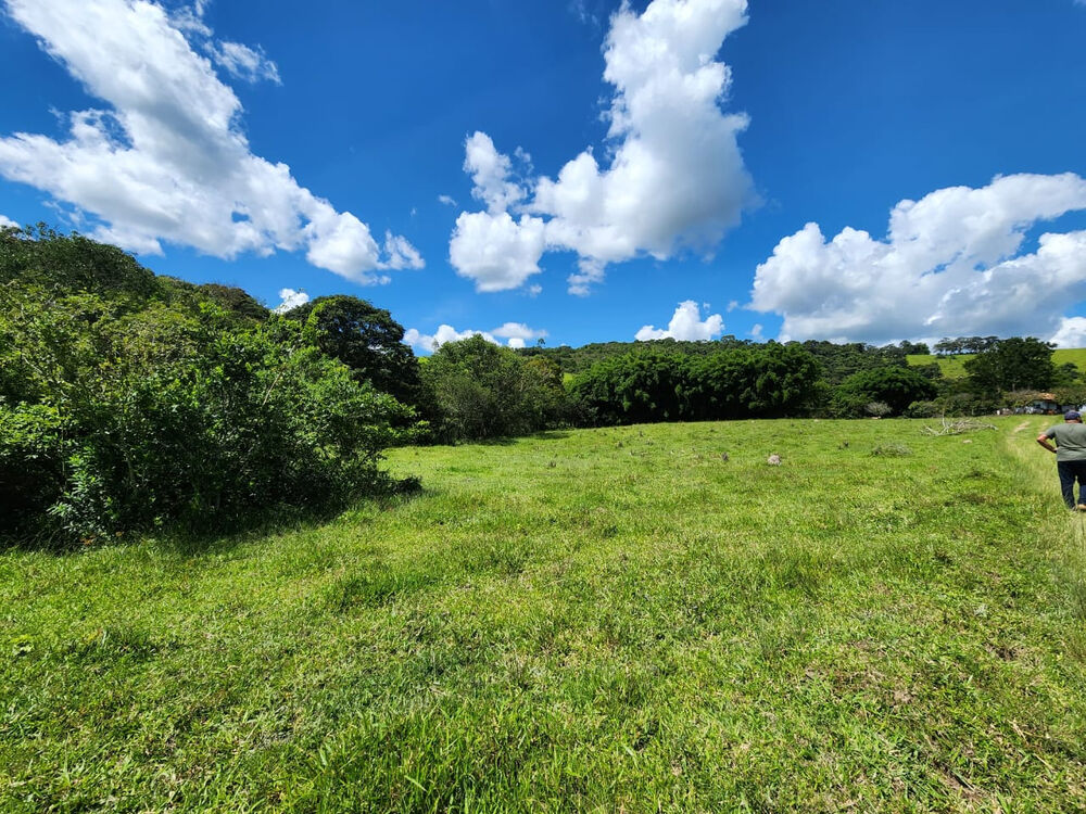 Fazenda à venda com 3 quartos, 820000m² - Foto 3