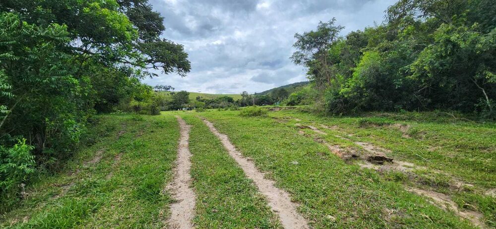 Fazenda à venda com 3 quartos, 820000m² - Foto 4