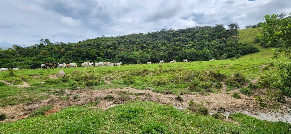 Fazenda à venda com 3 quartos, 820000m² - Foto 1