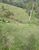 Sítio, 3 quartos, 3 hectares - Foto 4