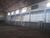 Depósito-Galpão, 600 m² - Foto 1