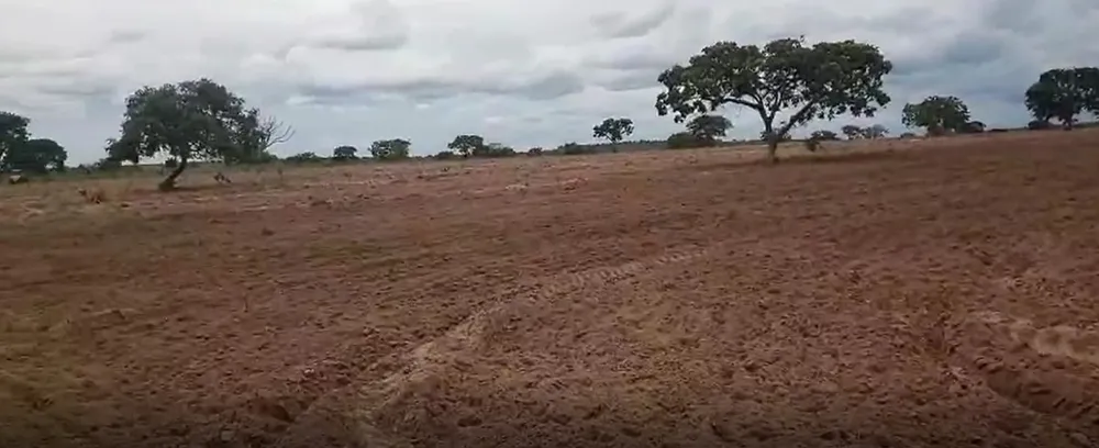 Fazenda, 1548 hectares - Foto 3