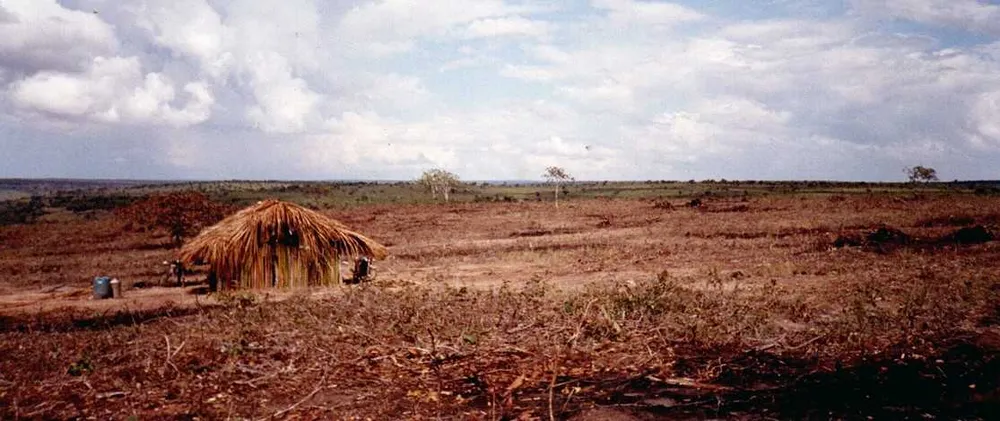 Fazenda, 1548 hectares - Foto 4