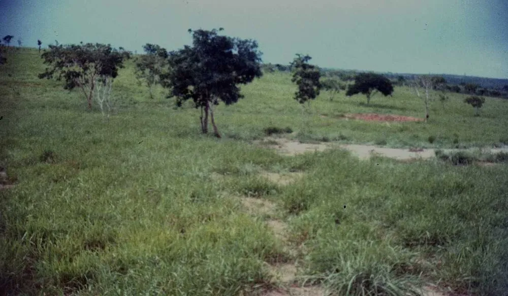 Fazenda, 1548 hectares - Foto 1
