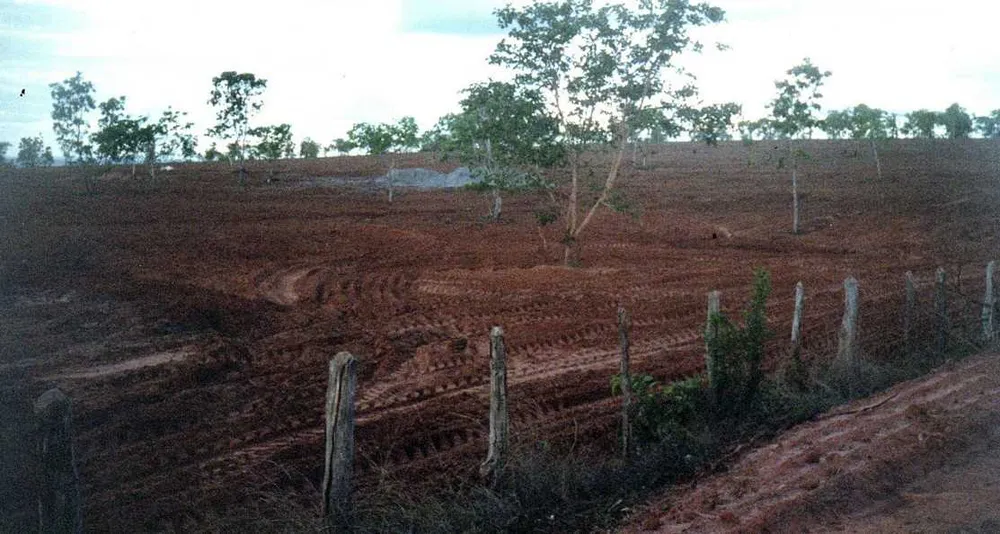 Fazenda, 1548 hectares - Foto 12