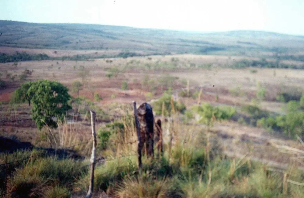 Fazenda, 1548 hectares - Foto 8
