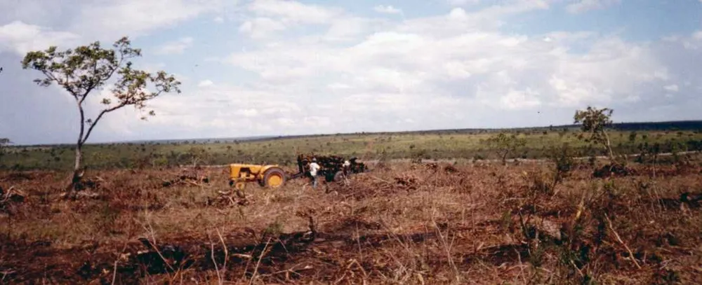 Fazenda, 1548 hectares - Foto 6